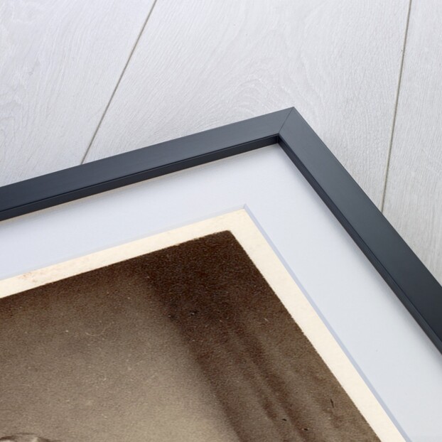 Portrait of William Willoughby Cole, 3rd Earl of Enniskillen (1807-1886) by Maull & Polyblank