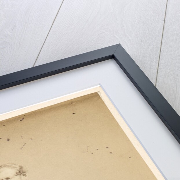 Portrait of William Willoughby Cole, 3rd Earl of Enniskillen (1807-1886) by Maull & Co