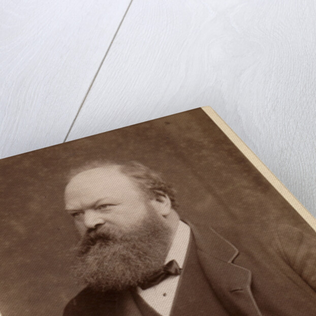 Portrait of Andrew Ainslie Common (1841-1903) by Maull & Fox