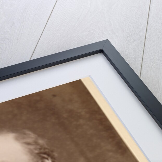 Portrait of Andrew Ainslie Common (1841-1903) by Maull & Fox