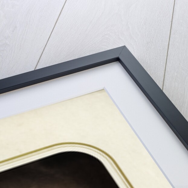 Portrait of Michael Faraday (1791-1867) by Maull & Polyblank