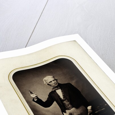 Portrait of Michael Faraday (1791-1867) by Maull & Polyblank