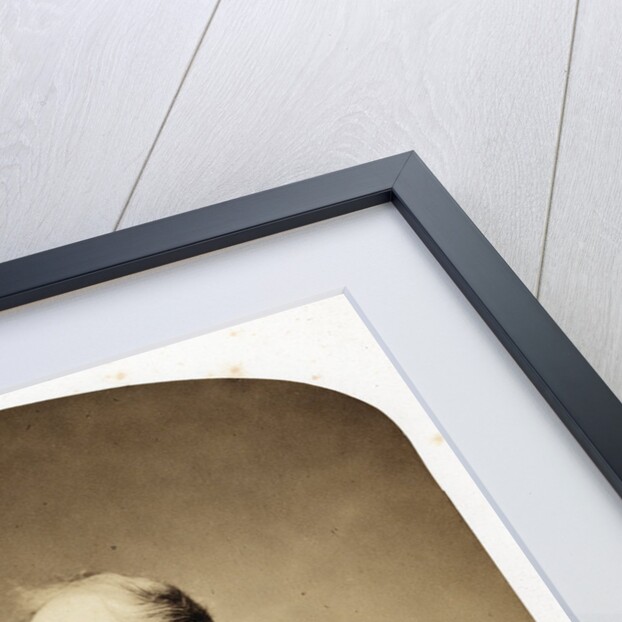 Portrait of Charles Lyell (1797-1875) by Maull & Polyblank