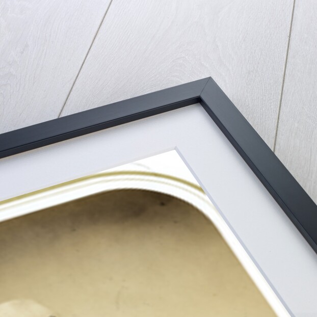 Portrait of John Phillips (1800-1874) by Maull & Polyblank