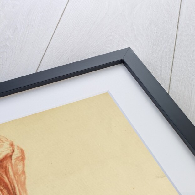 Anatomical study of leg and foot by Andreas van Rymsdyk