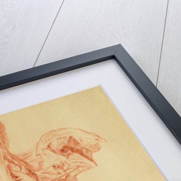 Anatomical study of the human torso by Jan van Rymsdyk