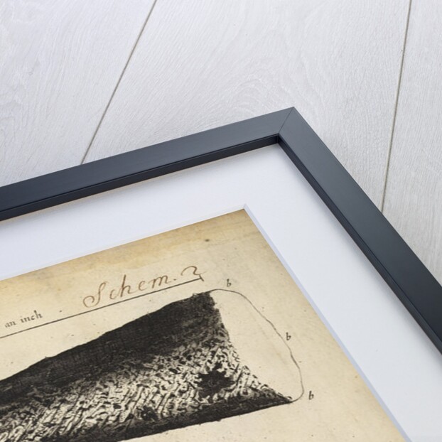 Microscopic views of the point of a needle; printed full-stop; edge of razor by Robert Hooke