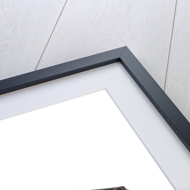 Model of a twin-hulled ship by Stephen Worlidge