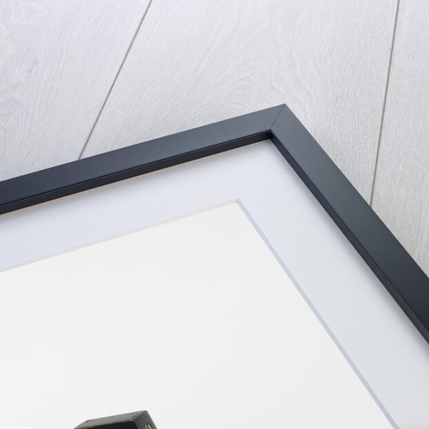 A terrella by Anonymous