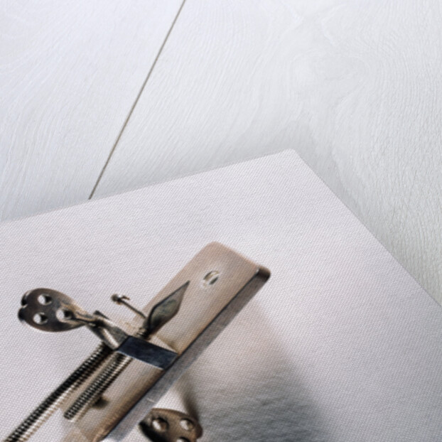 Leeuwenhoek's microscope by Antoni van Leeuwenhoek