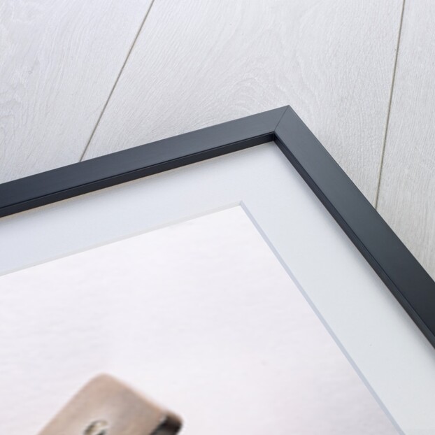 Leeuwenhoek's microscope by Antoni van Leeuwenhoek