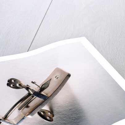 Leeuwenhoek's microscope by Antoni van Leeuwenhoek