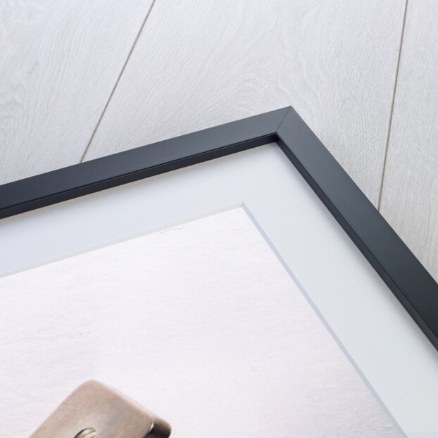 Leeuwenhoek's microscope by Antoni van Leeuwenhoek