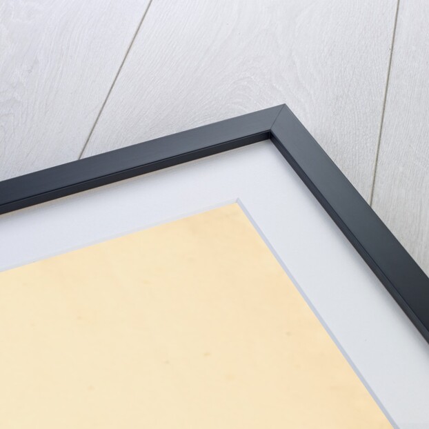 Human ovary by Franz Andreas Bauer