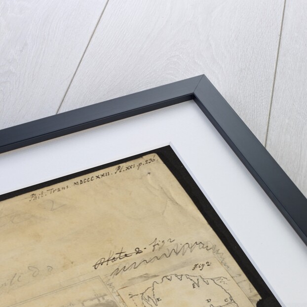 Kirkdale Cave, Yorkshire by William Buckland