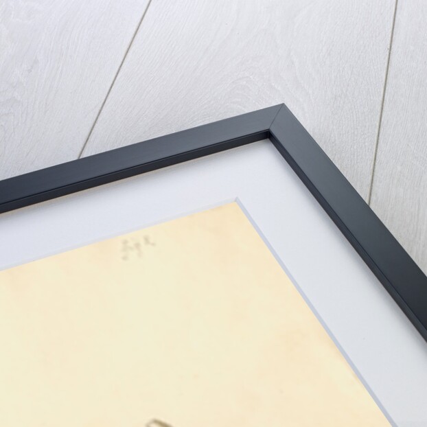 Hyaena jaw by Thomas Webster