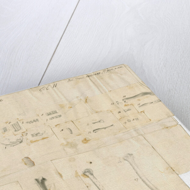 Fossil teeth and bones of water-rat, mouse, rabbit, raven, lark, pigeon and duck by Thomas Webster