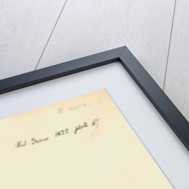 Rat foetus and placenta by William Clift