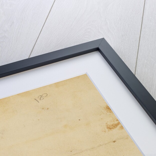 Turkey leg and spur by Anonymous