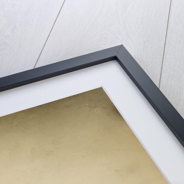 View across Lake Rotorua by Charles Spencer