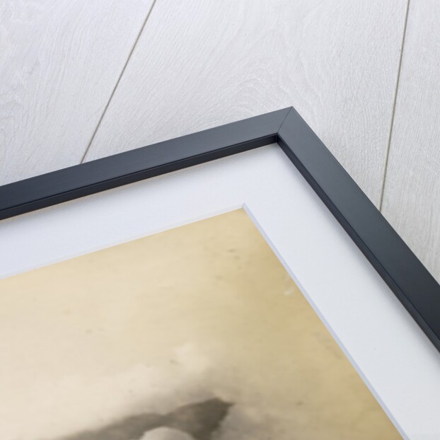 'View from Te Hape o toroa...' by Charles Spencer