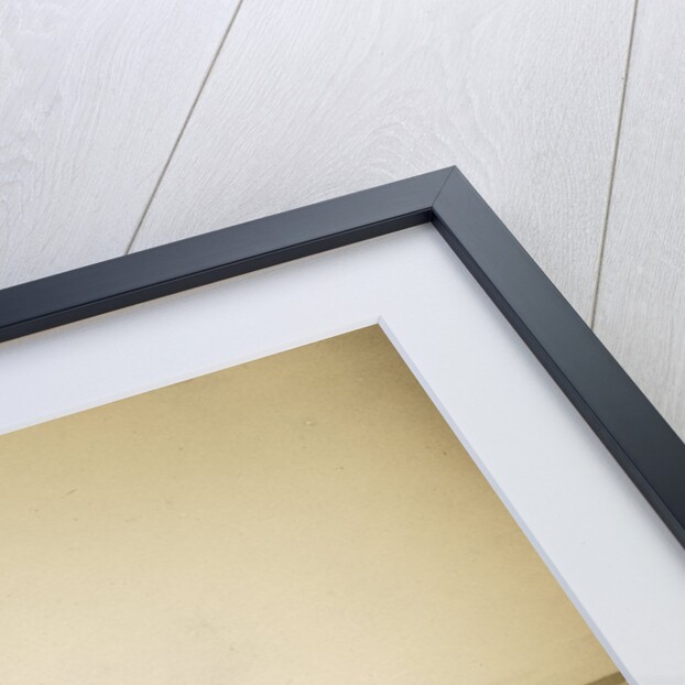 'Panorama; with No. 14' by Charles Spencer