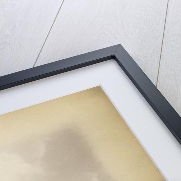 'The former outline of Rotomahana' by Charles Spencer