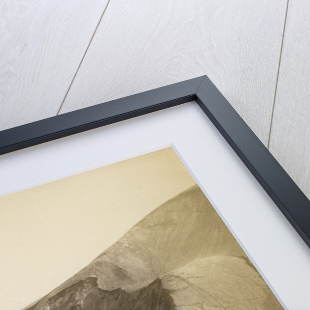 'The Fissure...' by Charles Spencer