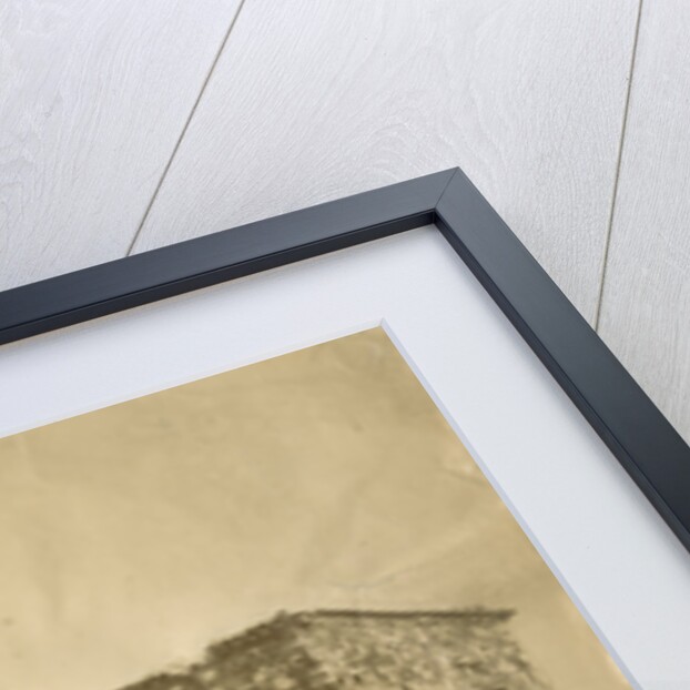 'Villa Carusso' [earthquake damage] by Alphonse Bernoud Grellier