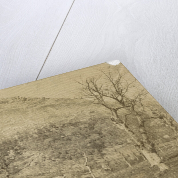 'Viggiano' by Alphonse Bernoud Grellier