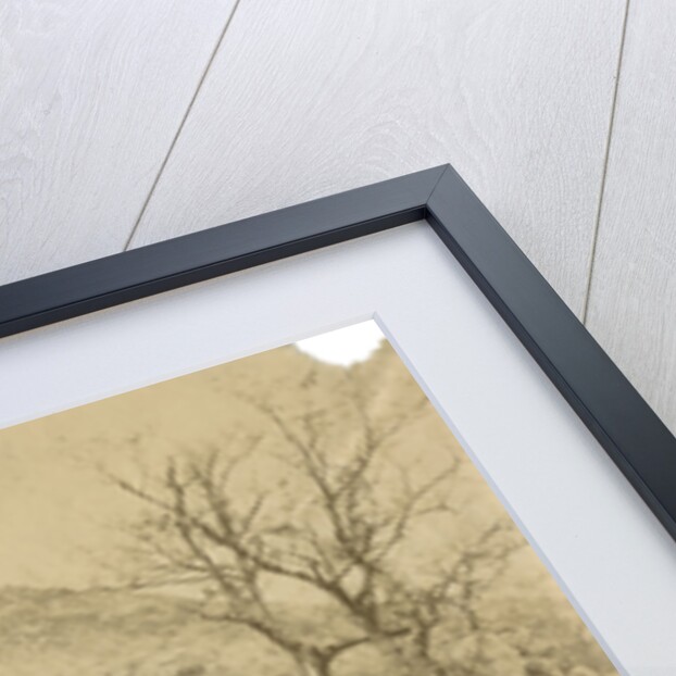 'Viggiano' by Alphonse Bernoud Grellier