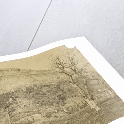 'Viggiano' by Alphonse Bernoud Grellier