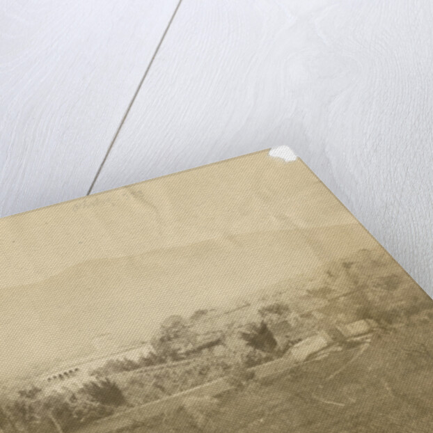 'Vulture from Melfi' by Alphonse Bernoud Grellier