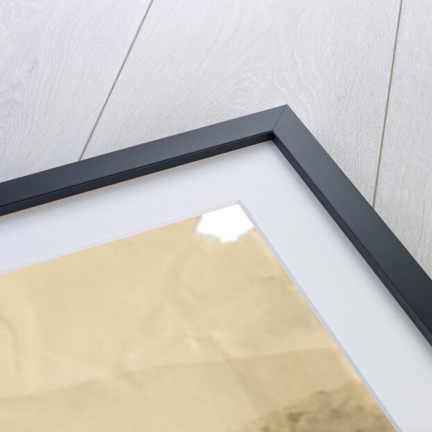 'Vulture from Melfi' by Alphonse Bernoud Grellier