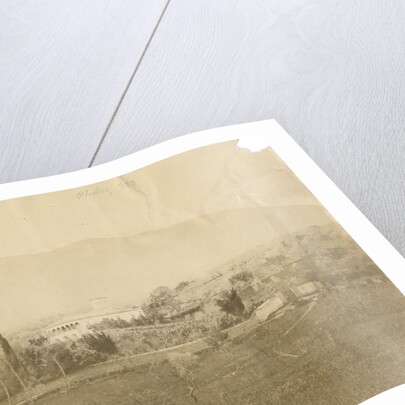 'Vulture from Melfi' by Alphonse Bernoud Grellier