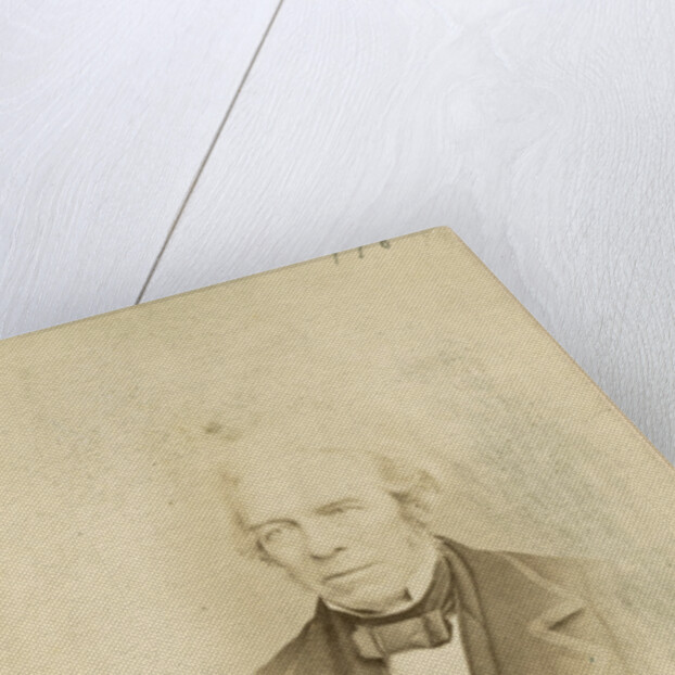 Portrait of Michael Faraday (1791-1867) by Ernest Edwards