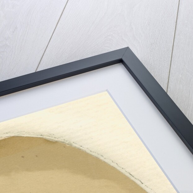 Portrait of Michael Faraday (1791-1867) by John Watkins