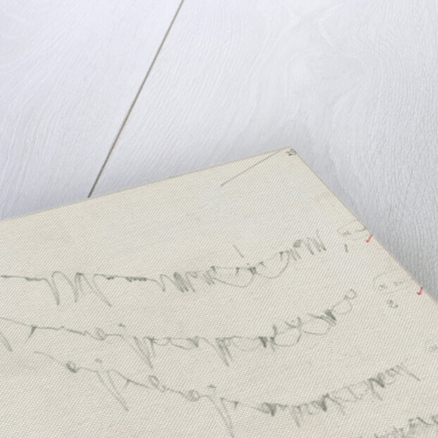 Posterior body margins of female Chionaspis and Mytilaspis by Robert Newstead