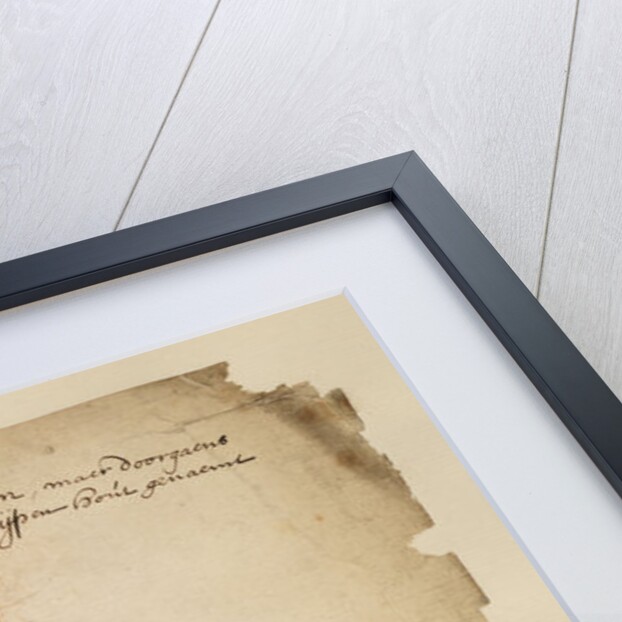 Section of elm wood by Anonymous