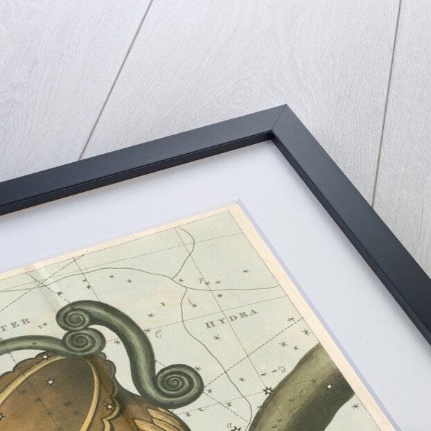 Constellations of Corvis, Crater and Hydra by Anonymous