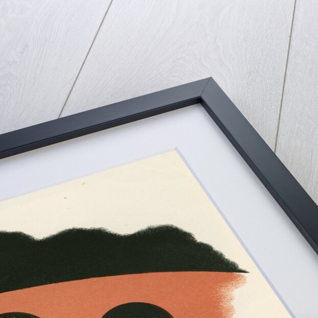 Professor Liversidge's observations of the transit of Venus by Anonymous