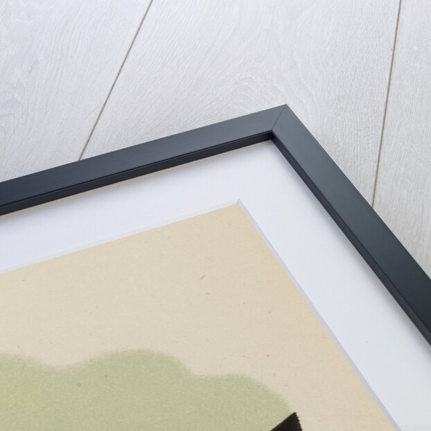 Mr G.D. Hirst's observations of the transit of Venus by Anonymous