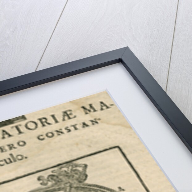 Tycho Brahe's great equatorial armillary instrument by Anonymous