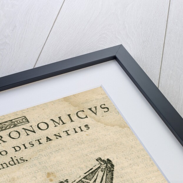 Tycho Brahe's triangular astronomical sextant by Anonymous