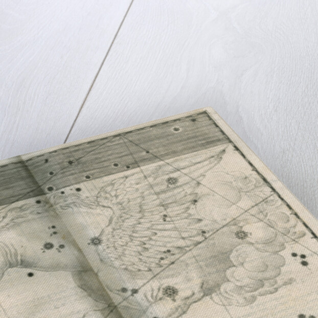 Constellation of Pegasus by Alexander Mair