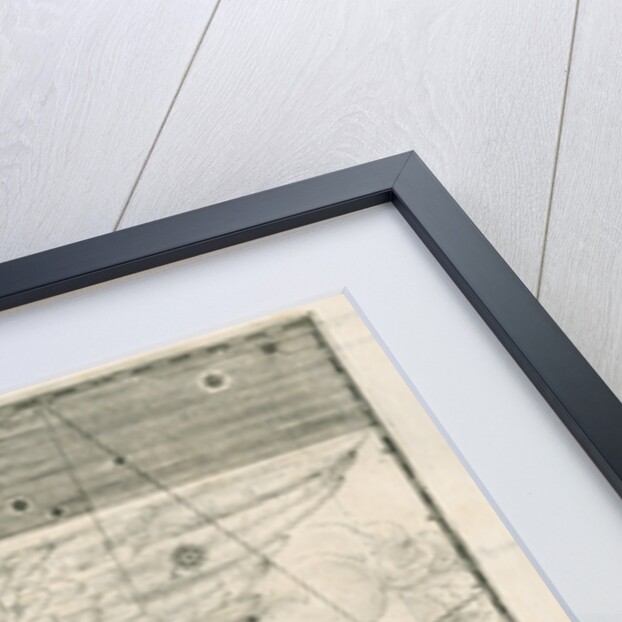 Constellation of Pegasus by Alexander Mair