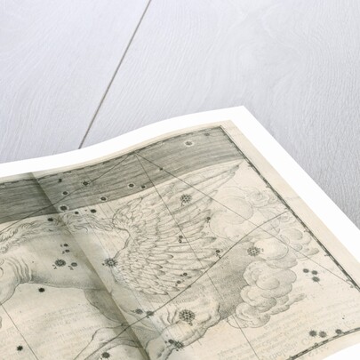 Constellation of Pegasus by Alexander Mair