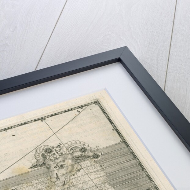 Constellation of Aries by Alexander Mair