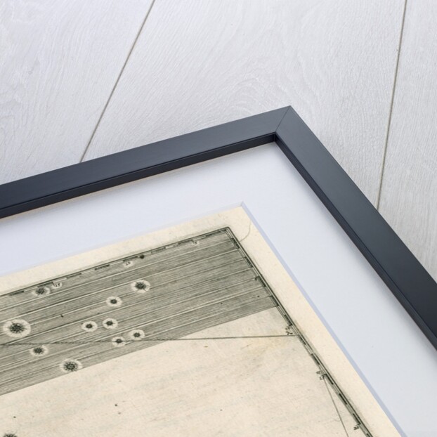 Constellation of Corvus by Alexander Mair