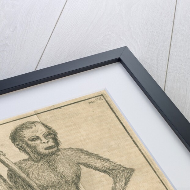 Four 'humanoid' figures from Linnaeus's 'Academic delights' by Anonymous